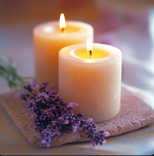 Lavender: A soothing Scent for Everyone- People, kids and even Dogs